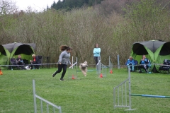 AGI Turnier 2018