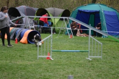 AGI Turnier 2018
