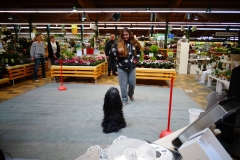 Dehner_Chantal-1