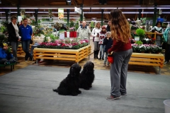 Dehner_Chantal-4