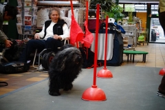 Dehner_Oma Budo
