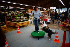 Dehner_Romina-3