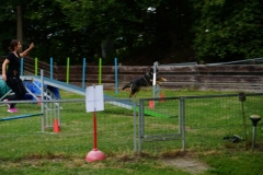 DSC07456-kl