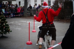Schulbesuch Geislingen