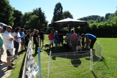 Sommerfest 2017-1