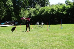 Sommerfest 2017-17