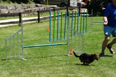 Sommerfest 2017-18