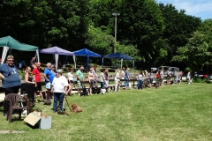 Sommerfest-2017-2