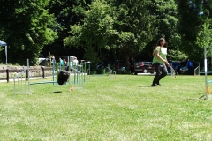 Sommerfest 2017-20