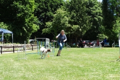 Sommerfest 2017-22
