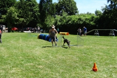 Sommerfest 2017-25
