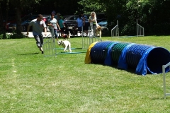 Sommerfest 2017-29