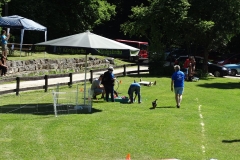 Sommerfest 2017-3