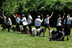 Sommerfest 2017-37