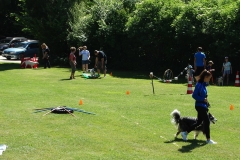Sommerfest 2017-4