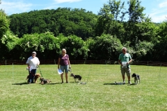 Sommerfest-2017-Hunderennen-M
