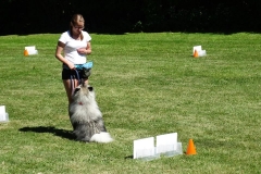 Sommerfest-2017-RO-3
