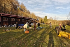 Welpentraining