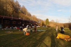 Welpentraining