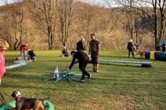 Welpentraining