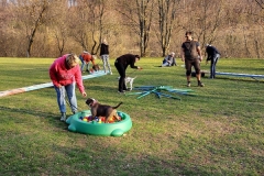 Welpentraining