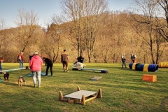 Welpentraining