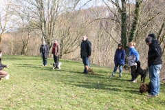 Welpentraining-2