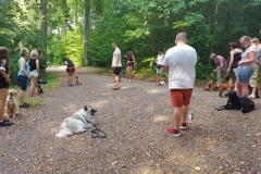 Welpentraining-Wildpark